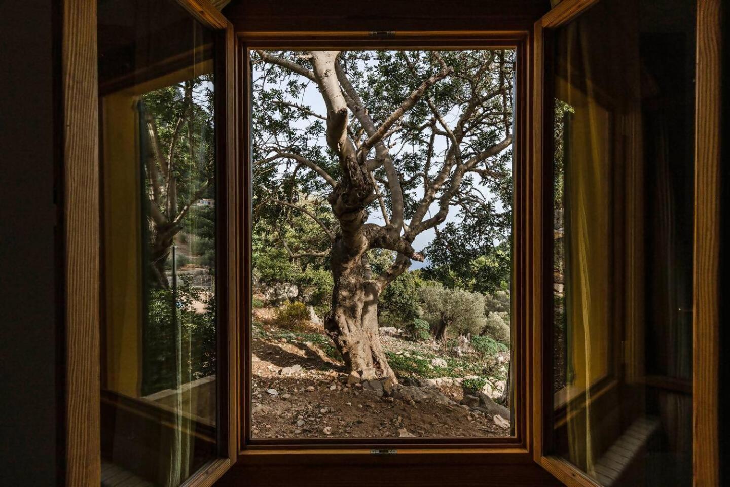 Villa Casa Tramuntana Valldemossa  Zimmer foto
